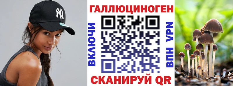 Галлюциногенные грибы MAGIC MUSHROOMS где купить Тара